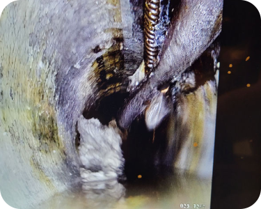 Camera Inspection